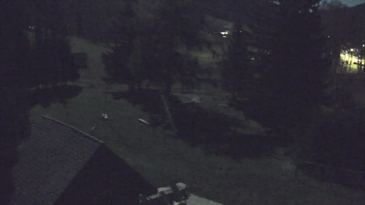 Webcam Lokve – Die Schönheit des Trnovo-Waldes