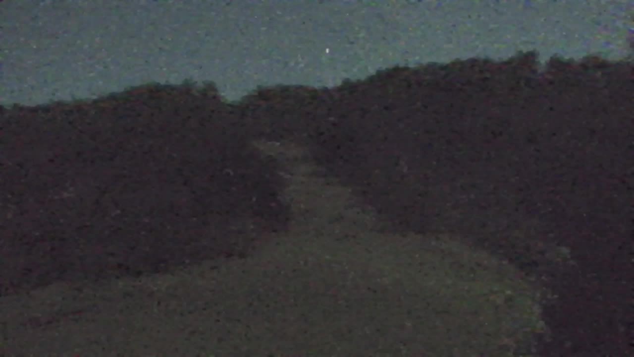 Webcam Lokve – The beauty of the Trnovo forest