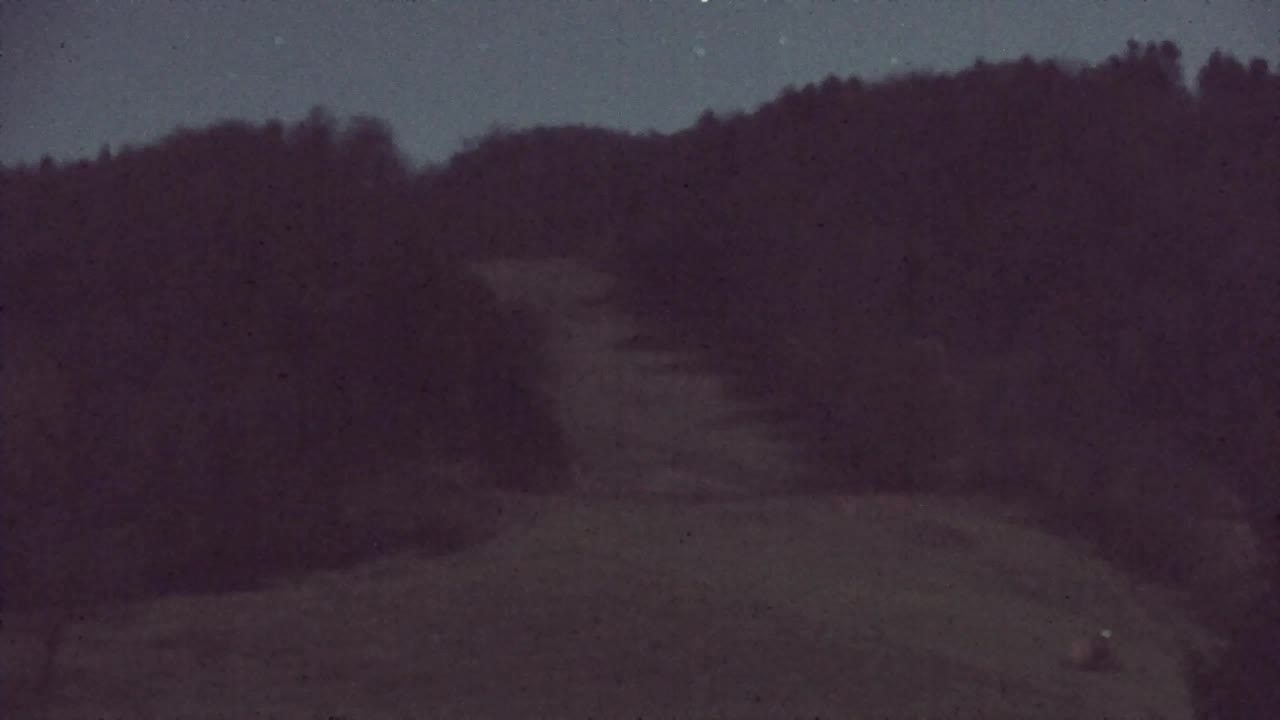 Webcam Lokve – Die Schönheit des Trnovo-Waldes