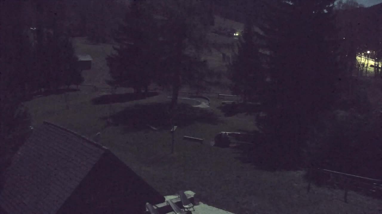 Webcam Lokve – The beauty of the Trnovo forest