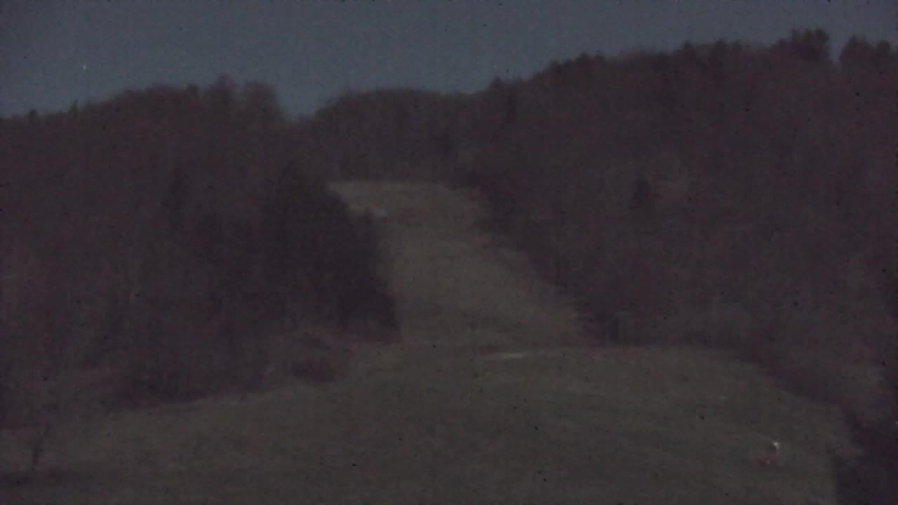 Webcam Lokve – The beauty of the Trnovo forest