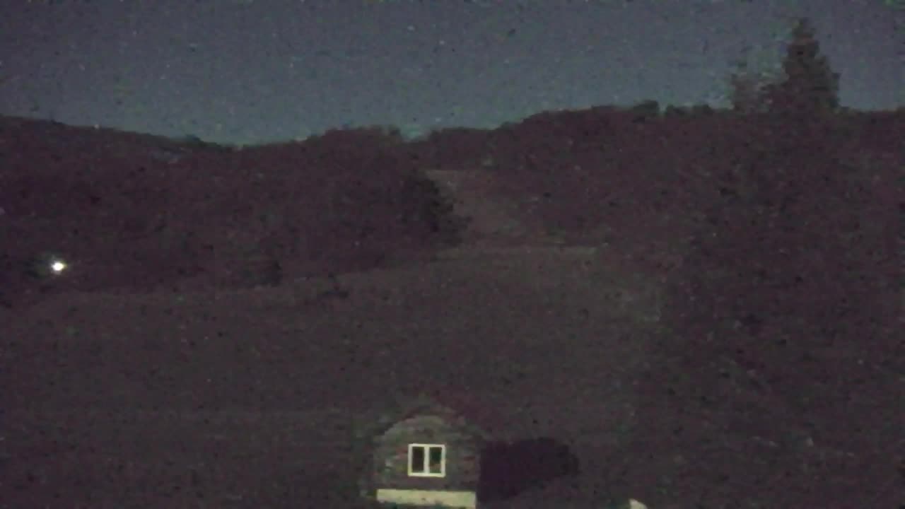 Web kamera Lokve – Ljepota Trnovske šume