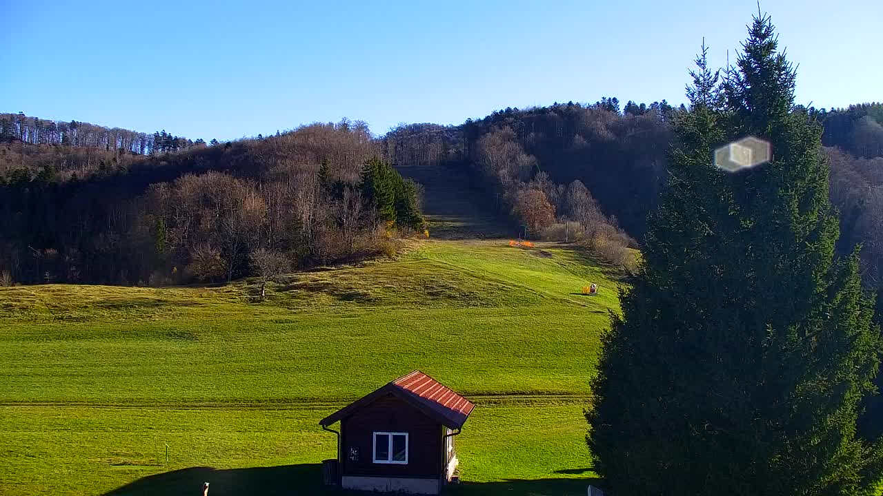 Webcam Lokve – The beauty of the Trnovo forest