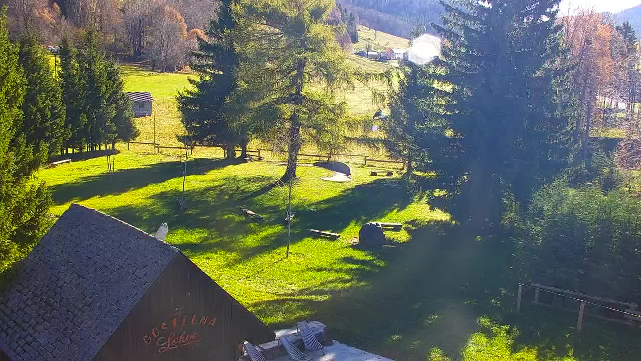 Webcam Loqua / Lokve – La bellezza della selva di Tarnova