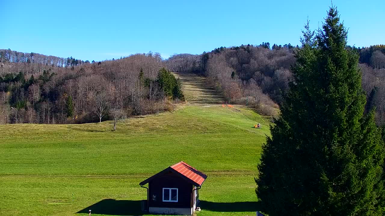 Webcam Lokve – The beauty of the Trnovo forest