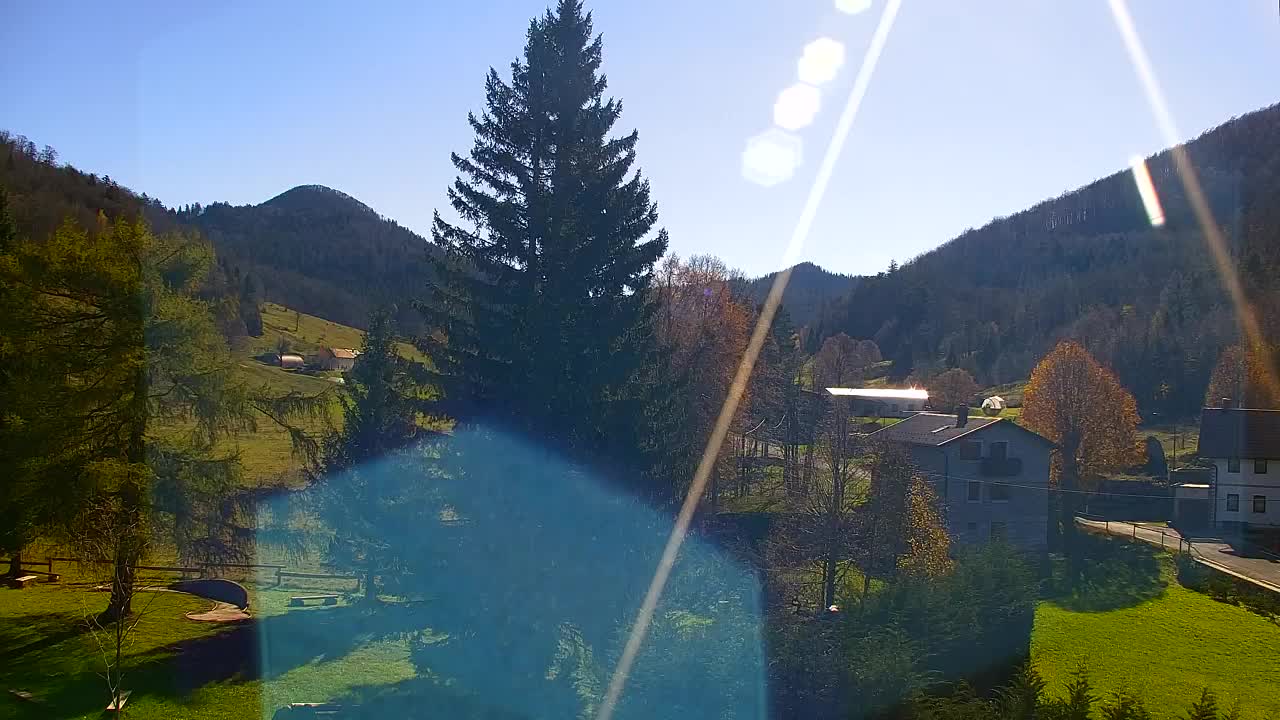 Camera en vivo Lokve – La belleza del bosque de Trnovo