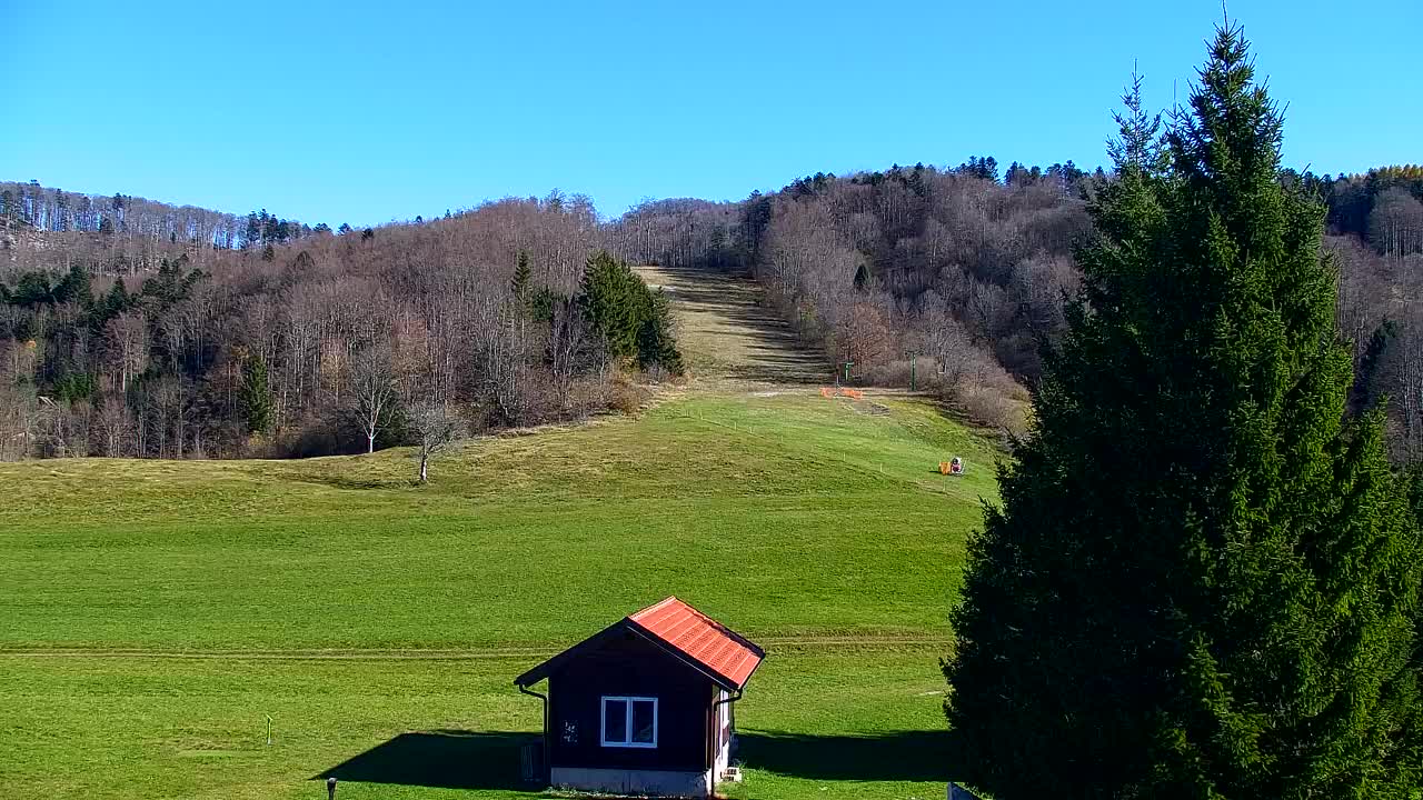 Webcam Lokve – La beauté de la forêt de Trnovo