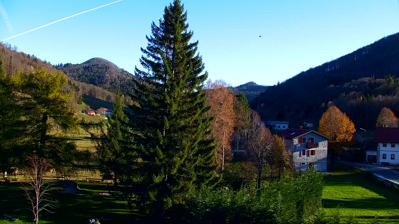 Webcam Lokve – La beauté de la forêt de Trnovo
