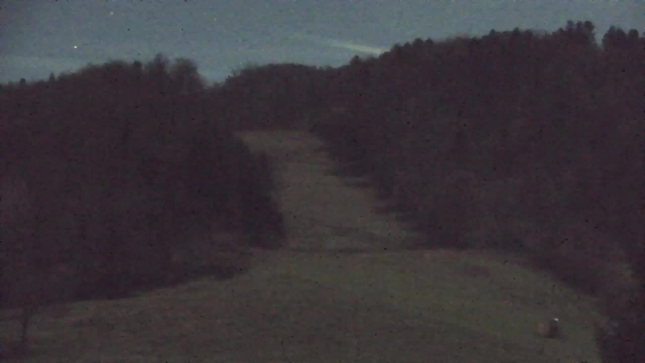 Webcam Loqua / Lokve – La bellezza della selva di Tarnova