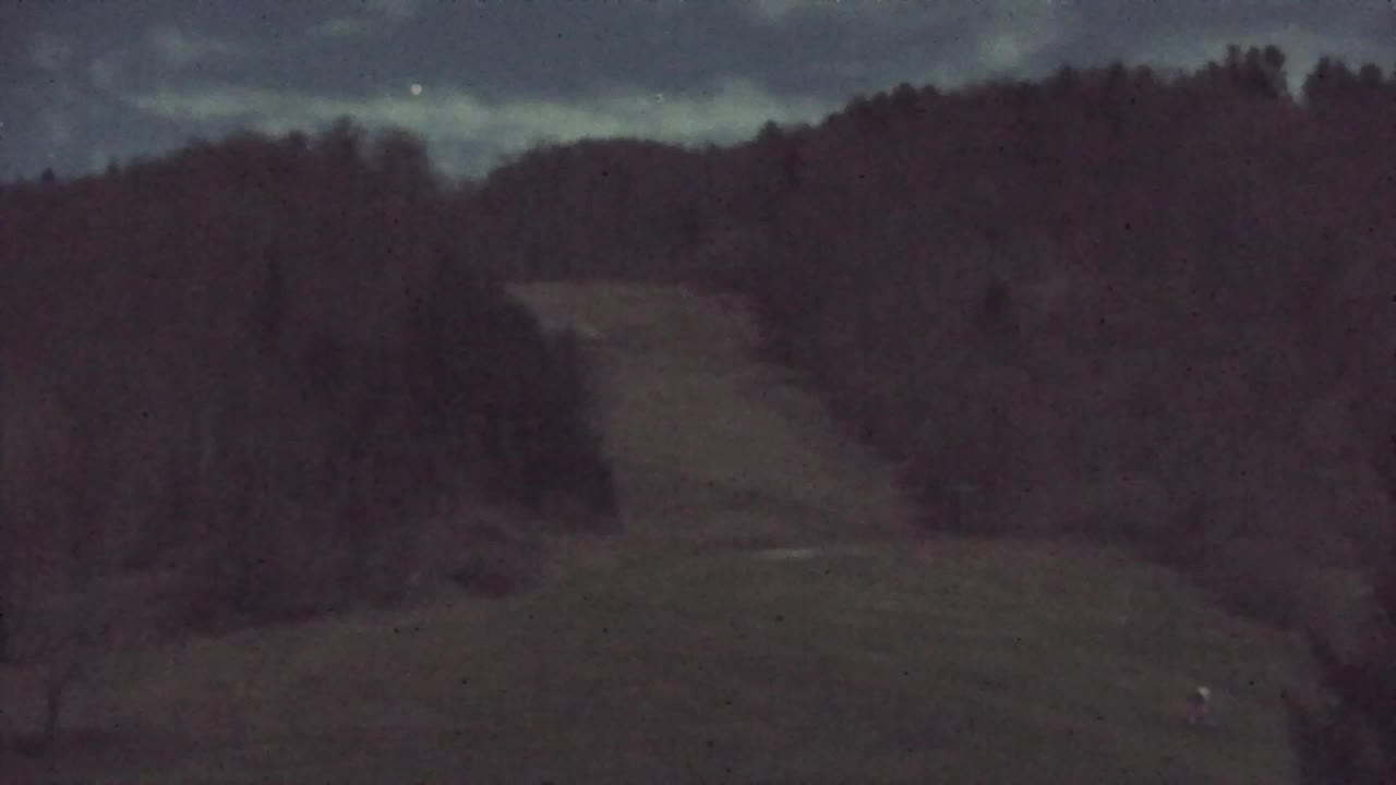 Webcam Lokve – The beauty of the Trnovo forest