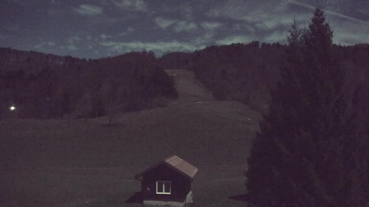 Webcam Loqua / Lokve – La bellezza della selva di Tarnova