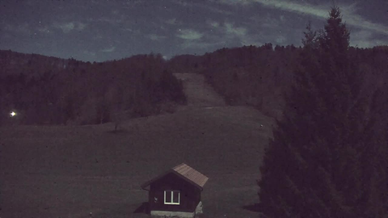 Webcam Loqua / Lokve – La bellezza della selva di Tarnova