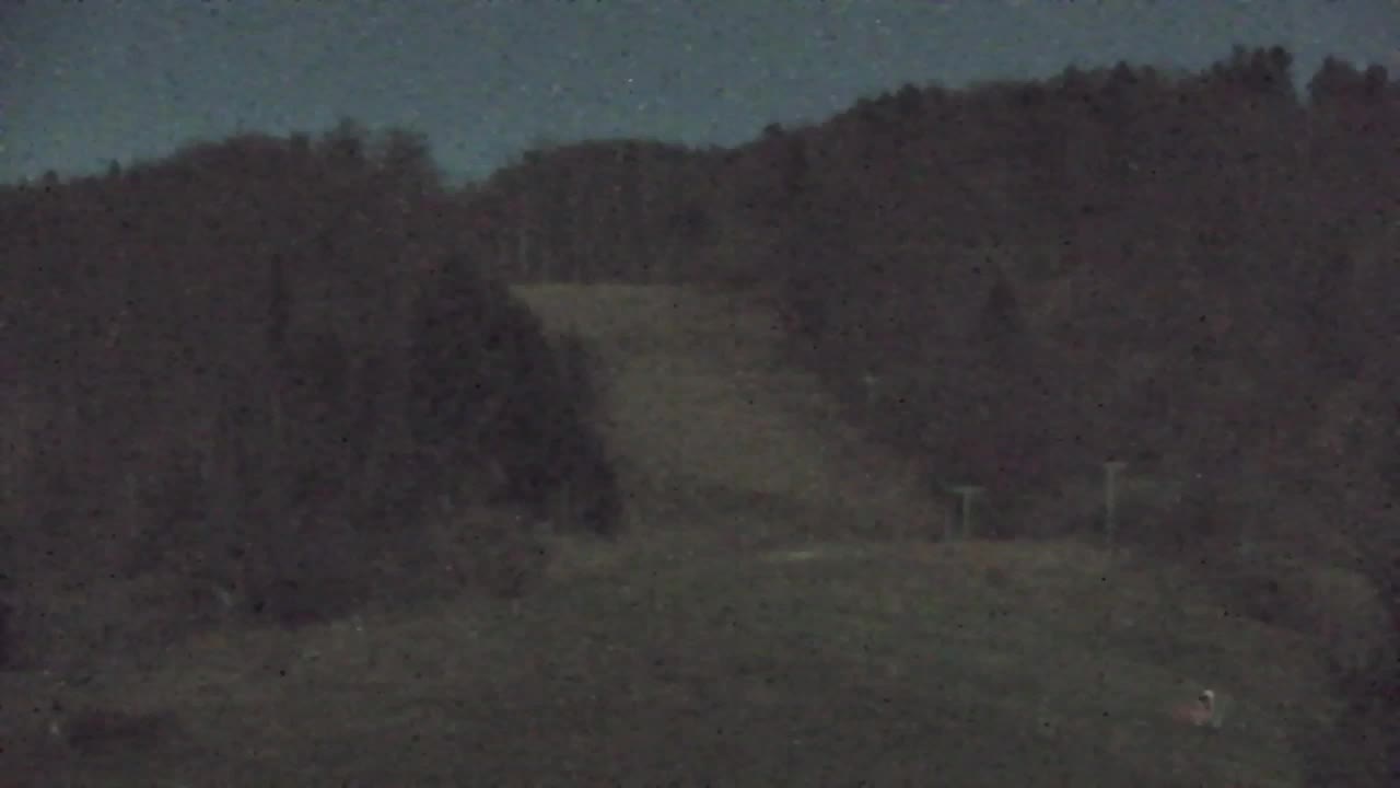 Web kamera Lokve – Ljepota Trnovske šume