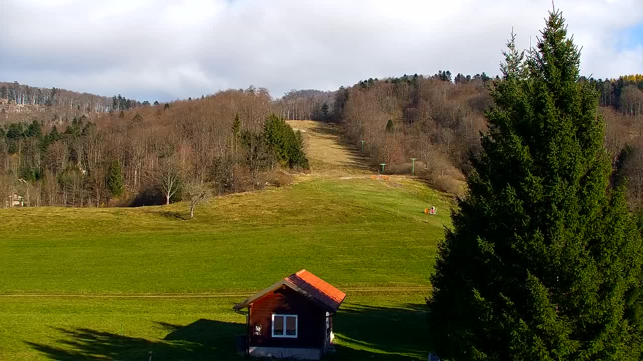 Webcam Loqua / Lokve – La bellezza della selva di Tarnova