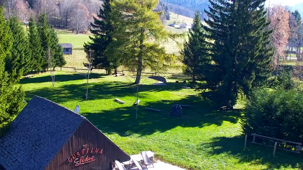 Web kamera Lokve – Ljepota Trnovske šume