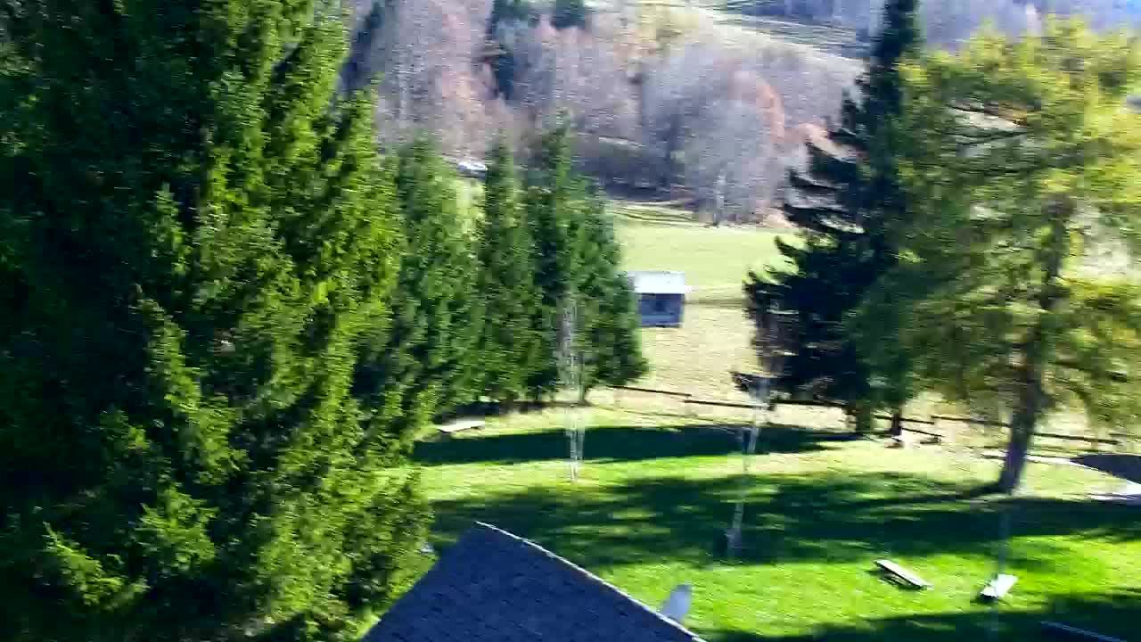 Webcam Lokve – The beauty of the Trnovo forest