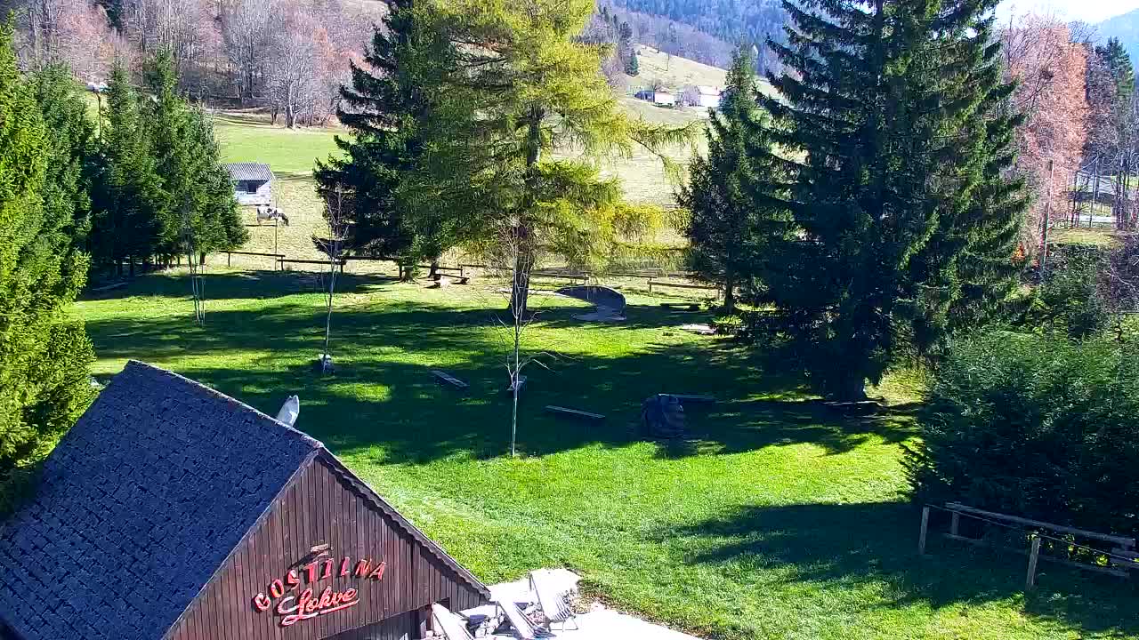 Webcam Lokve – La beauté de la forêt de Trnovo