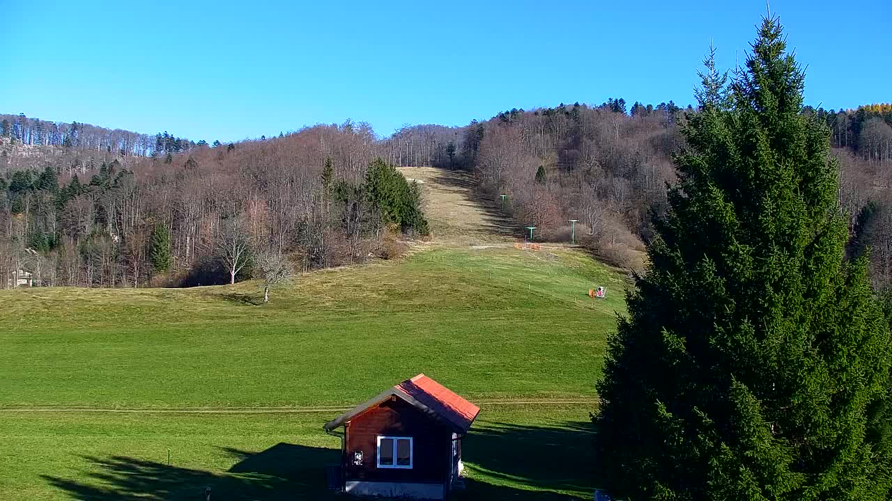 Webcam Lokve – The beauty of the Trnovo forest