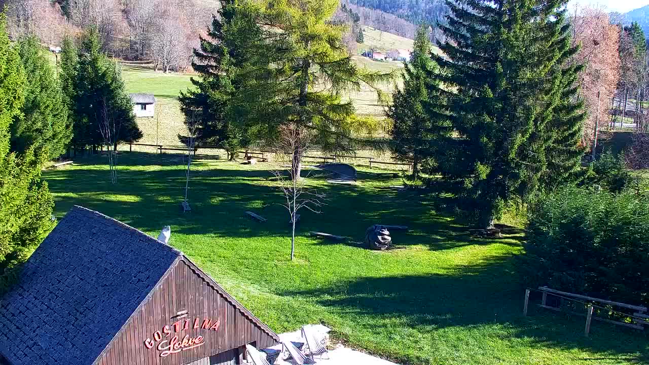 Camera en vivo Lokve – La belleza del bosque de Trnovo