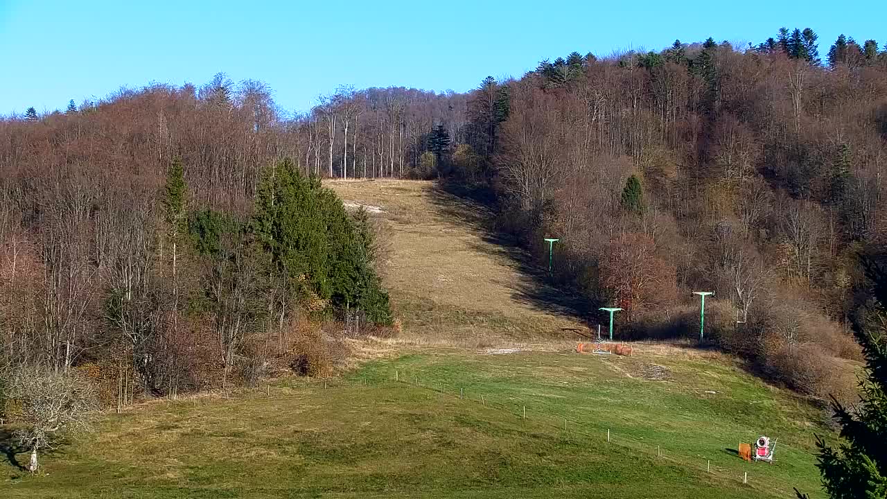 Webcam Loqua / Lokve – La bellezza della selva di Tarnova
