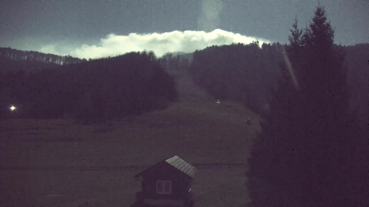 Webcam Lokve – The beauty of the Trnovo forest