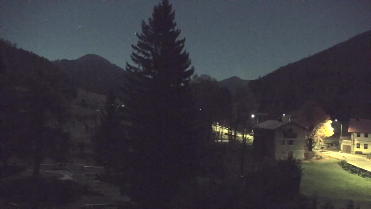 Webcam Loqua / Lokve – La bellezza della selva di Tarnova