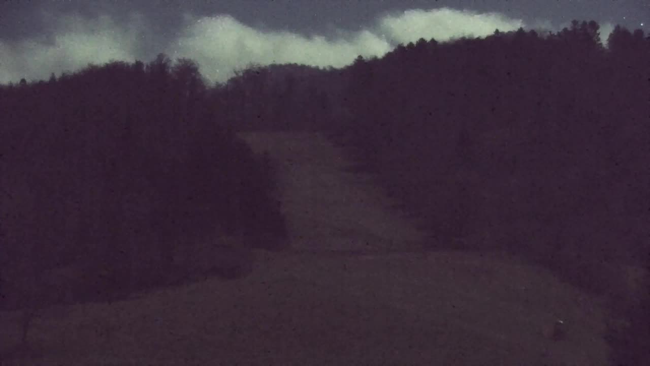 Camera en vivo Lokve – La belleza del bosque de Trnovo