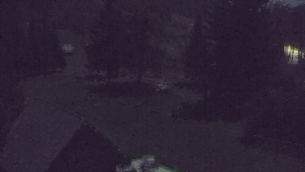 Webcam Lokve – La beauté de la forêt de Trnovo