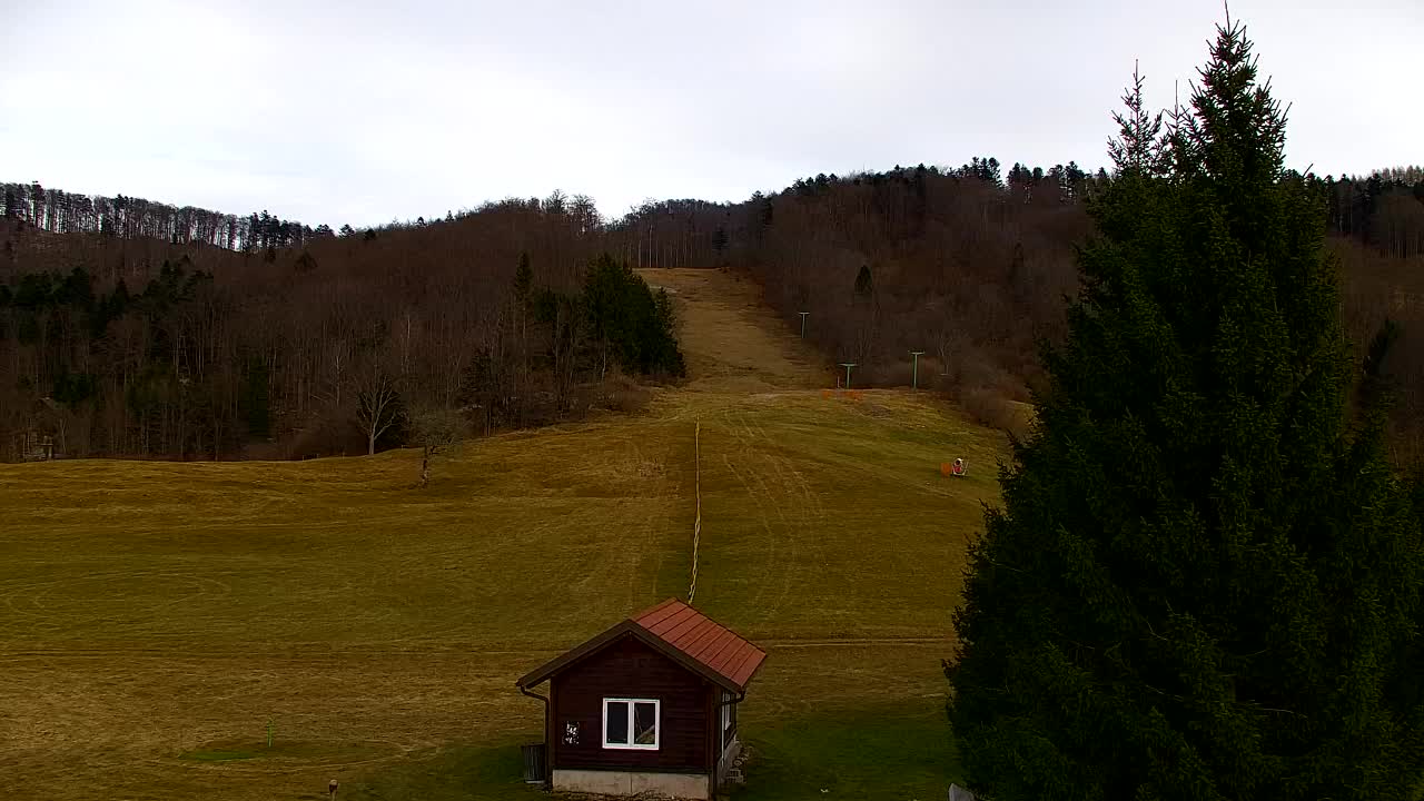 Webcam Lokve – La beauté de la forêt de Trnovo