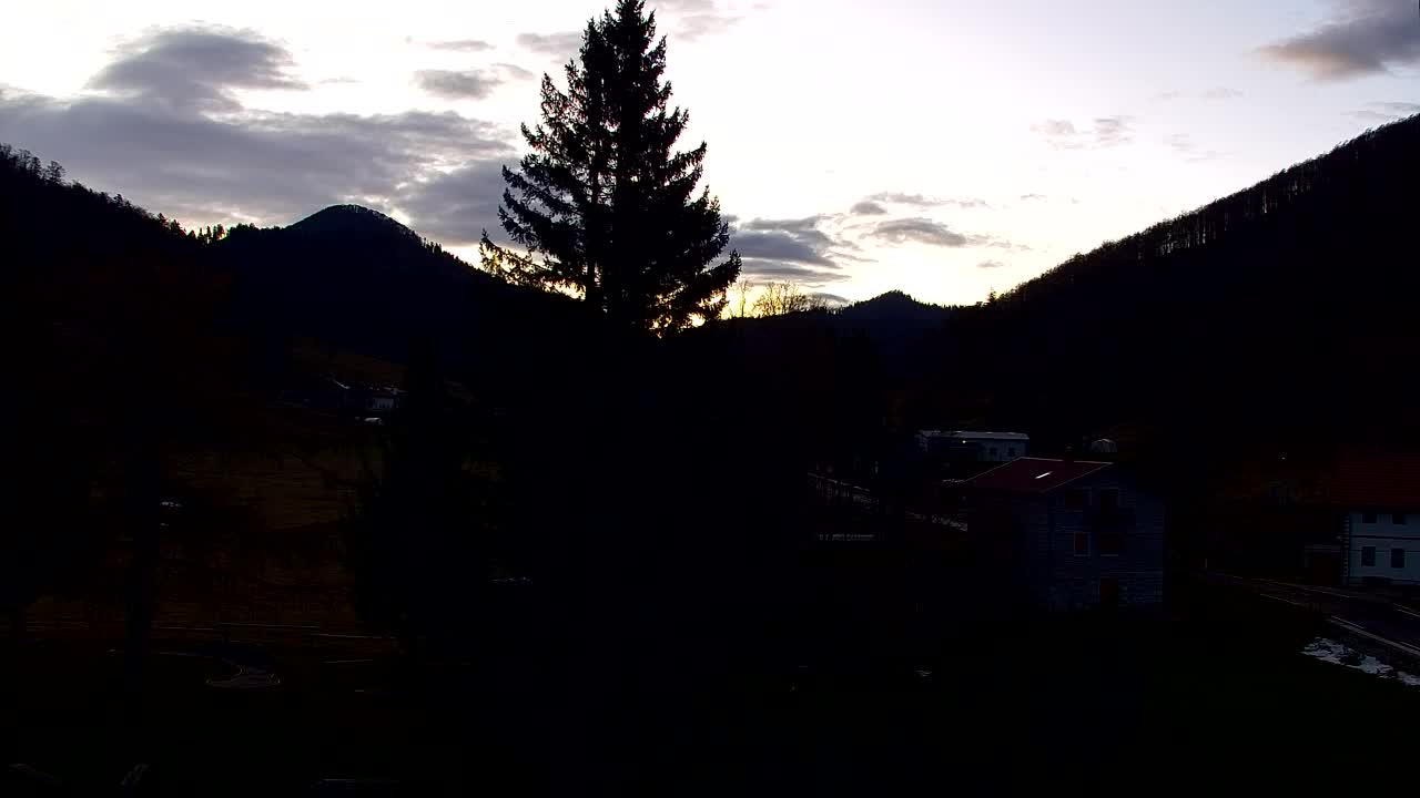 Webcam Loqua / Lokve – La bellezza della selva di Tarnova