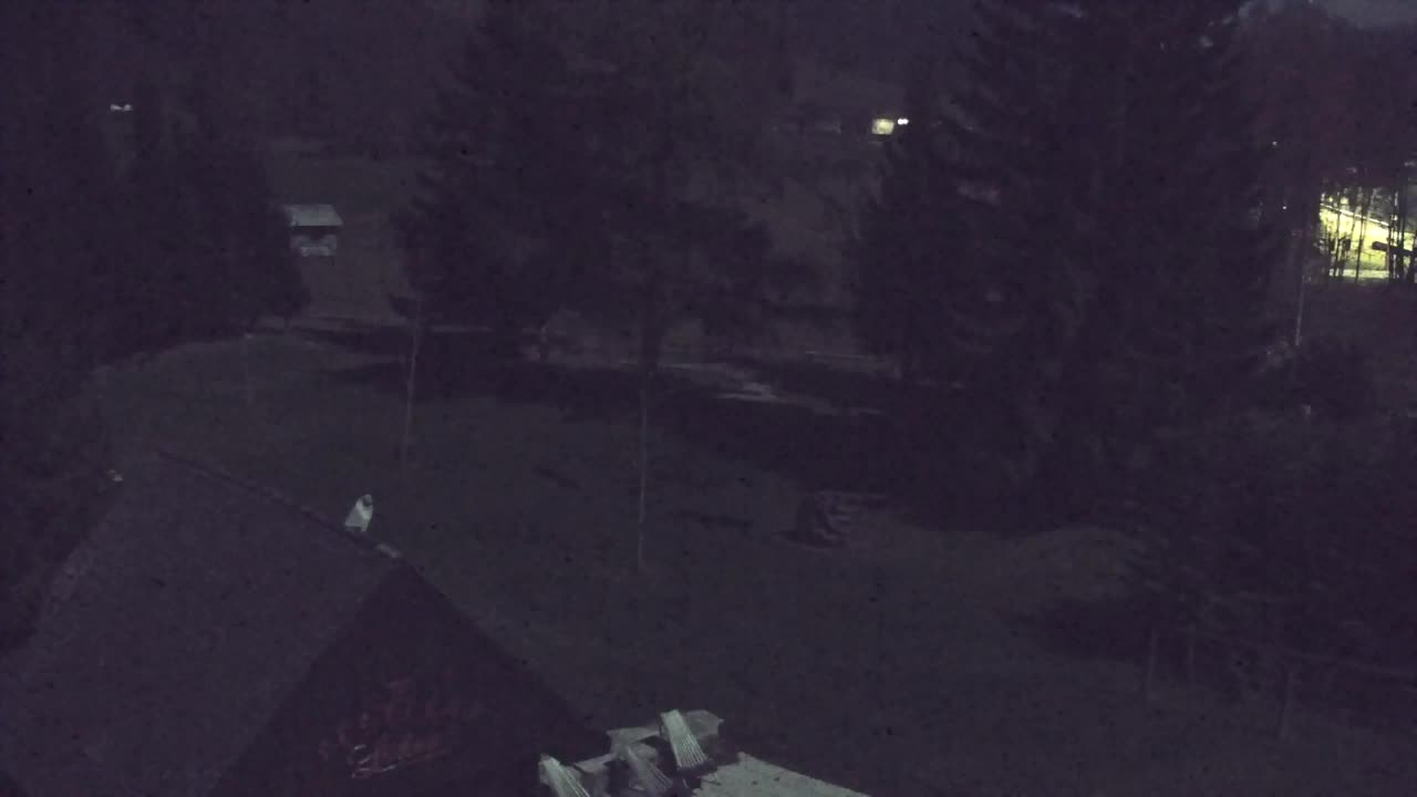 Webcam Lokve – La beauté de la forêt de Trnovo