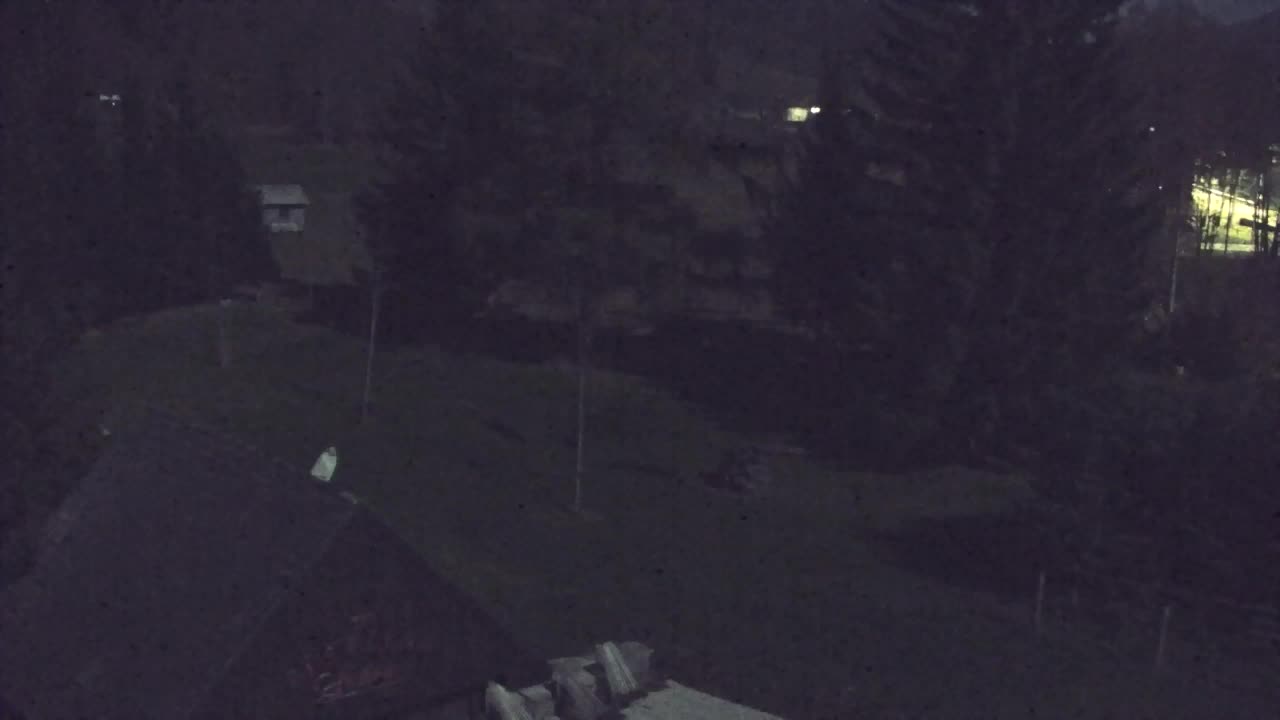 Webcam Lokve – La beauté de la forêt de Trnovo