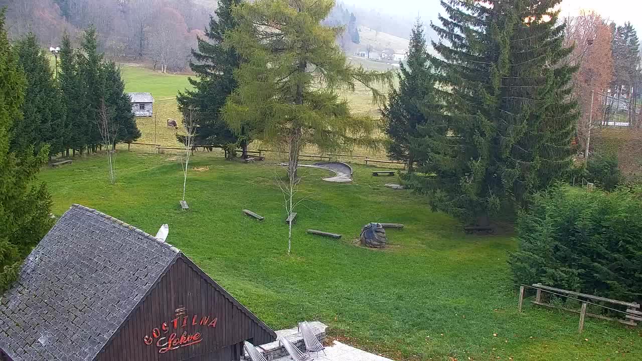 Webcam Lokve – La beauté de la forêt de Trnovo