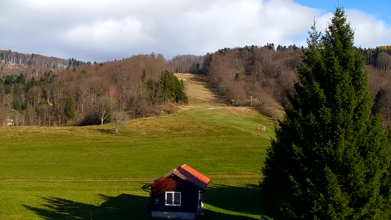 Webcam Lokve – La beauté de la forêt de Trnovo