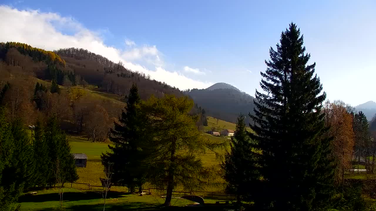 Camera en vivo Lokve – La belleza del bosque de Trnovo