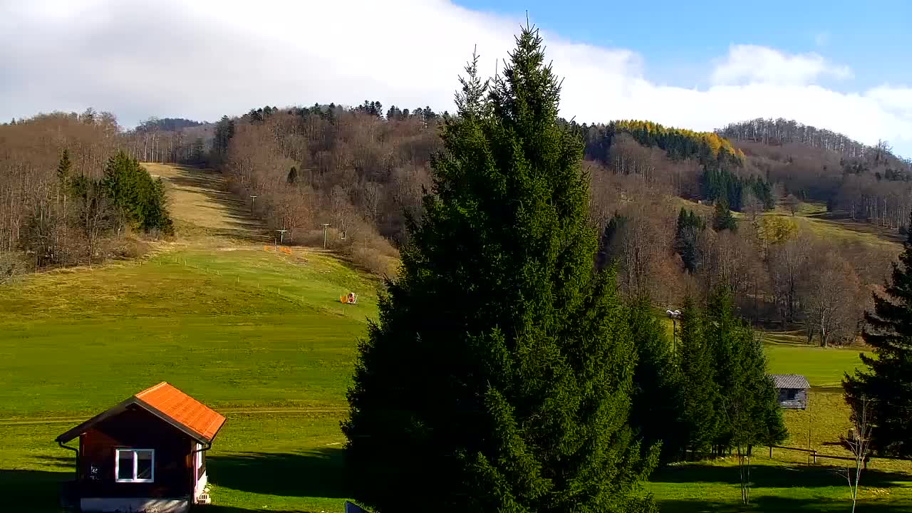 Webcam Lokve – The beauty of the Trnovo forest