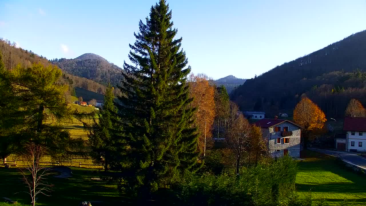 Web kamera Lokve – Ljepota Trnovske šume