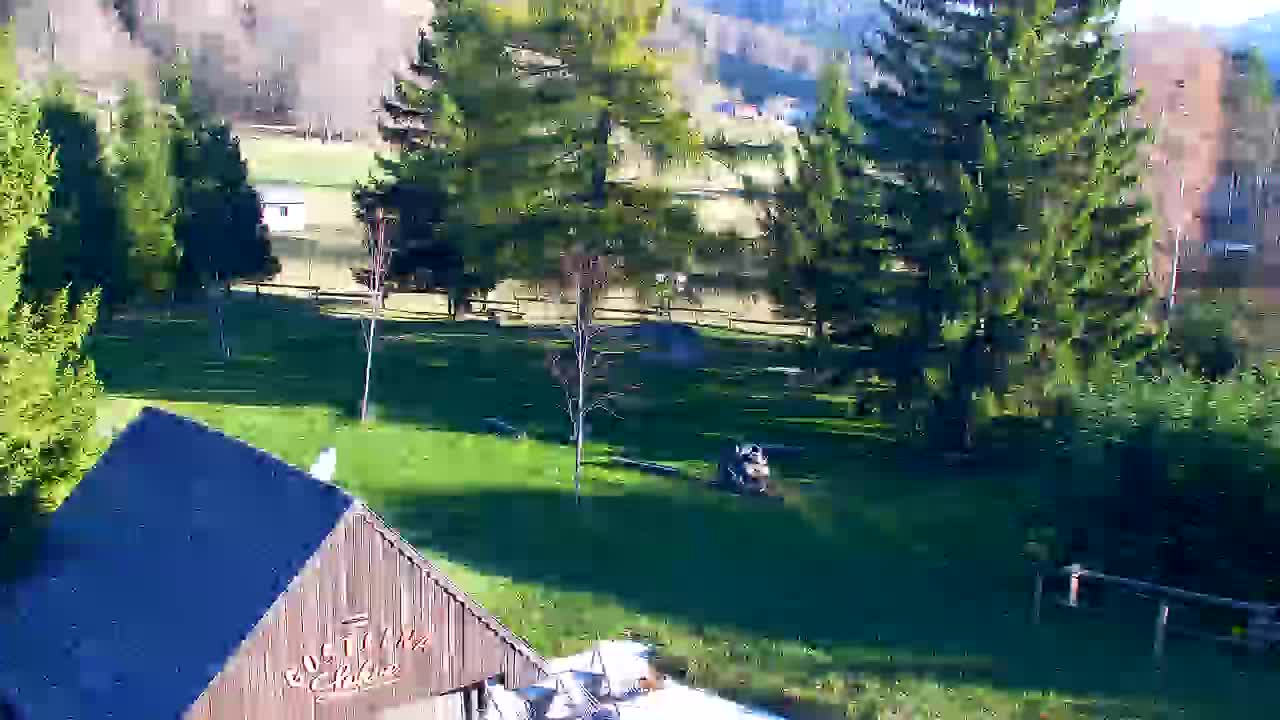 Webcam Lokve – Die Schönheit des Trnovo-Waldes