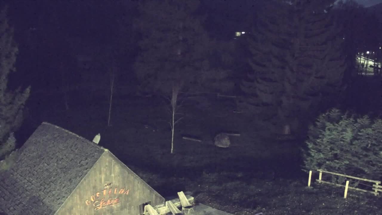 Webcam Lokve – La beauté de la forêt de Trnovo