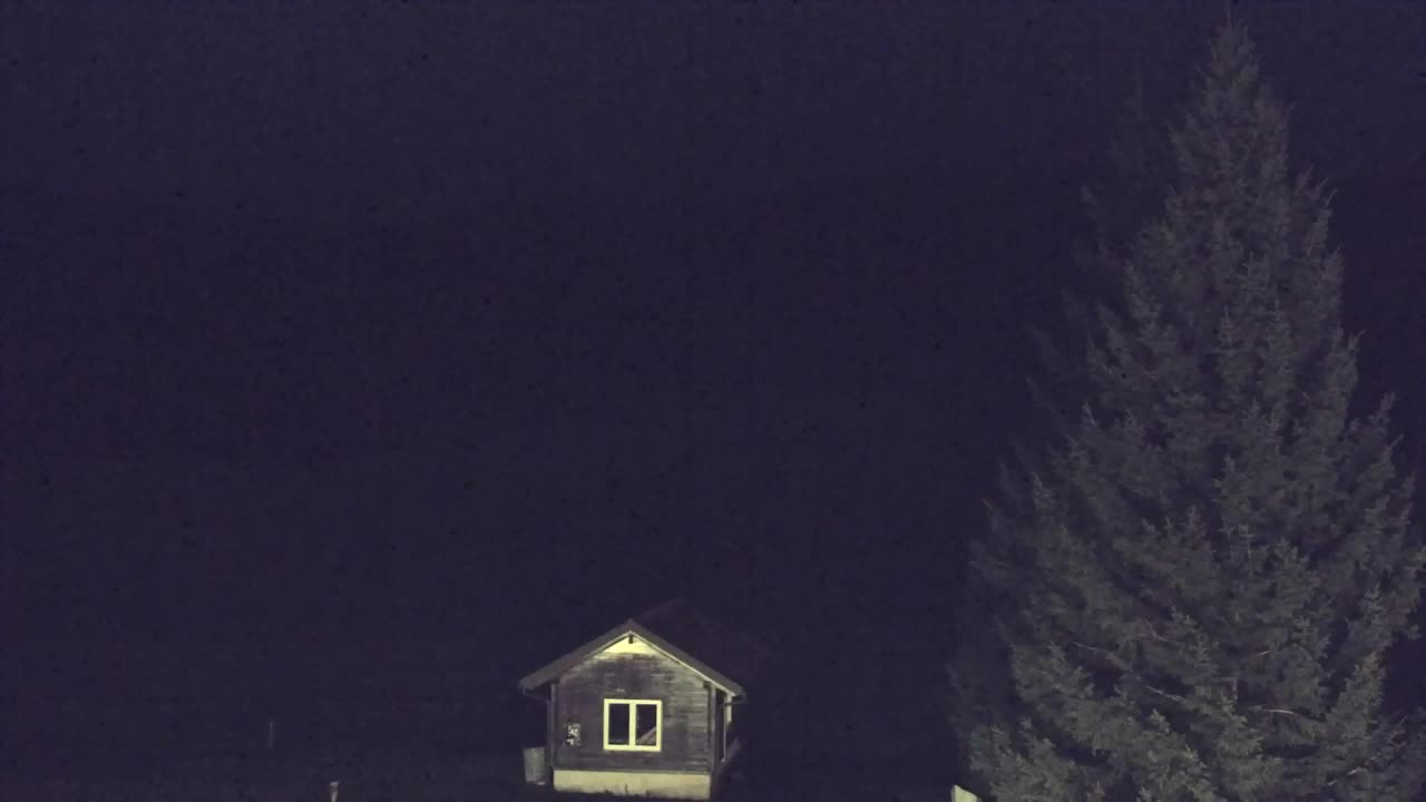 Webcam Loqua / Lokve – La bellezza della selva di Tarnova