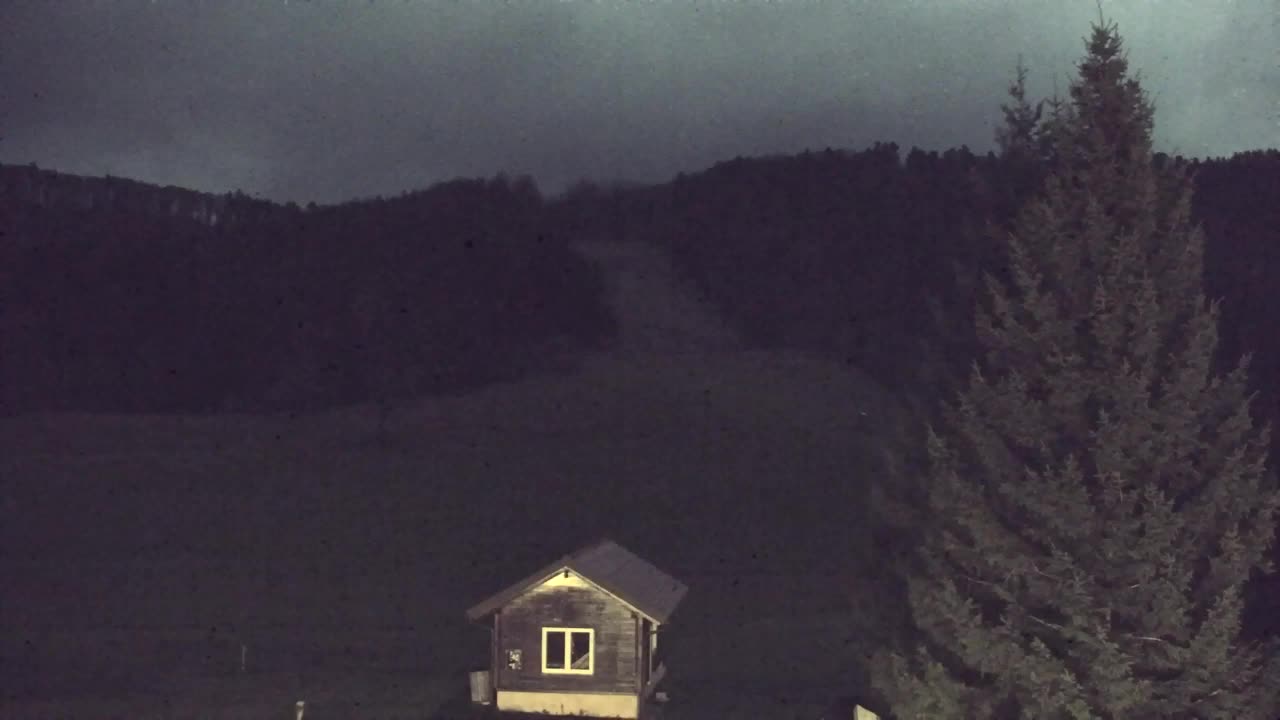 Webcam Lokve – Die Schönheit des Trnovo-Waldes