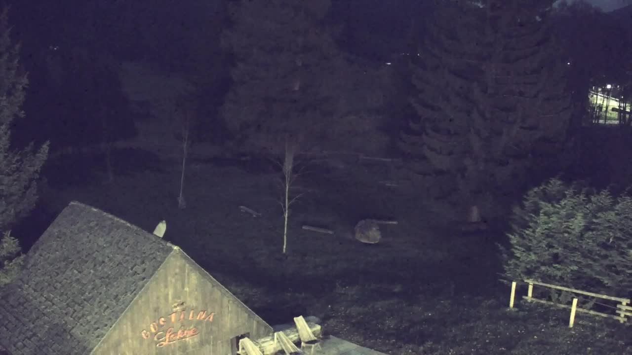 Webcam Lokve – Die Schönheit des Trnovo-Waldes