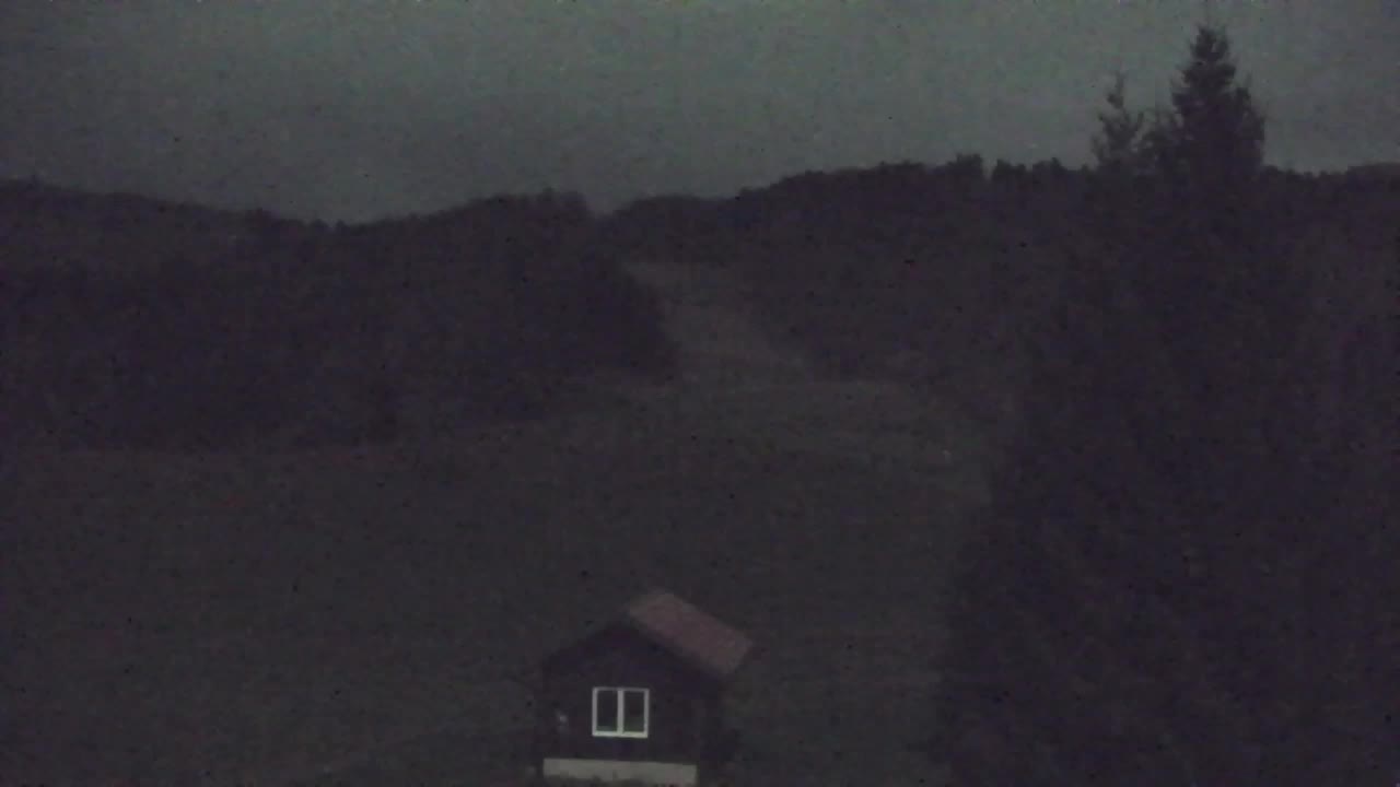 Web kamera Lokve – Ljepota Trnovske šume