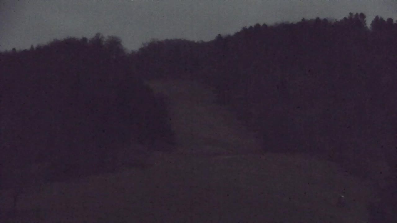 Webcam Lokve – The beauty of the Trnovo forest