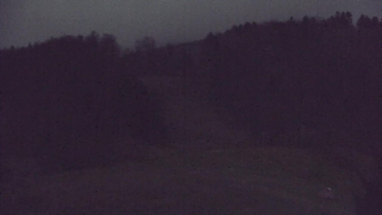 Webcam Lokve – The beauty of the Trnovo forest