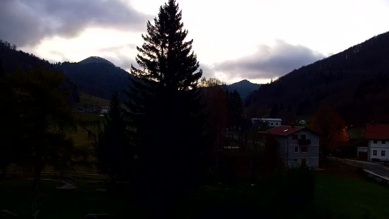 Webcam Loqua / Lokve – La bellezza della selva di Tarnova