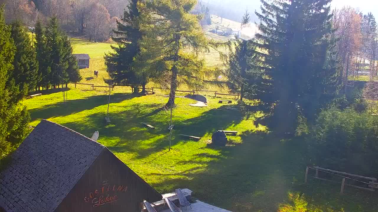 Webcam Lokve – The beauty of the Trnovo forest