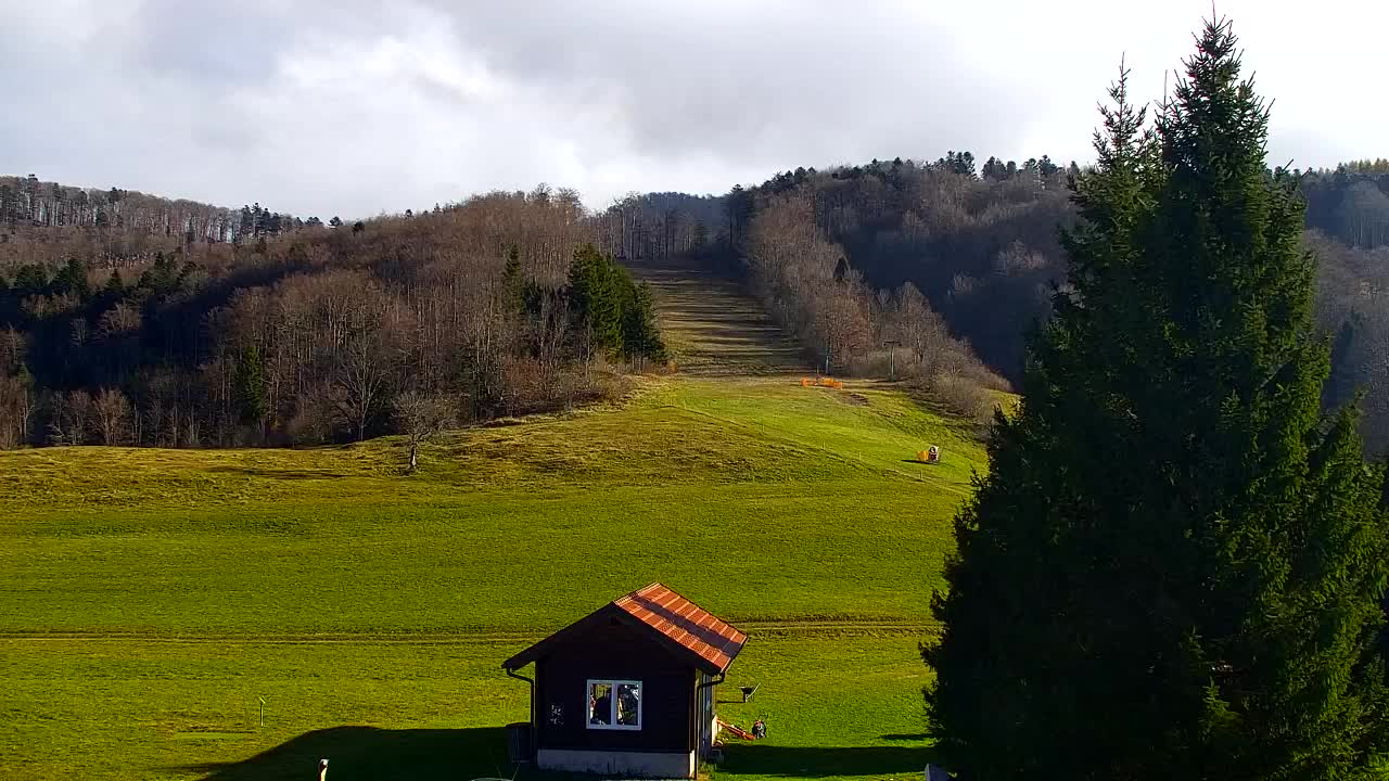 Webcam Lokve – The beauty of the Trnovo forest