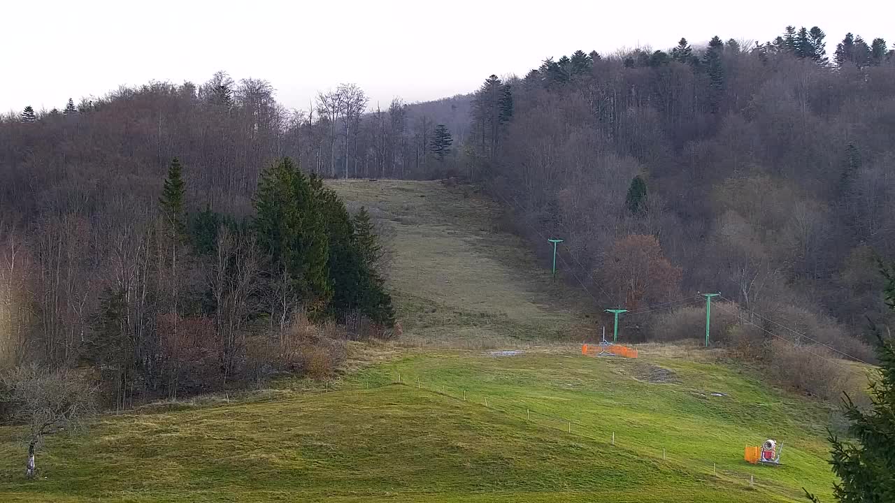 Webcam Lokve – The beauty of the Trnovo forest