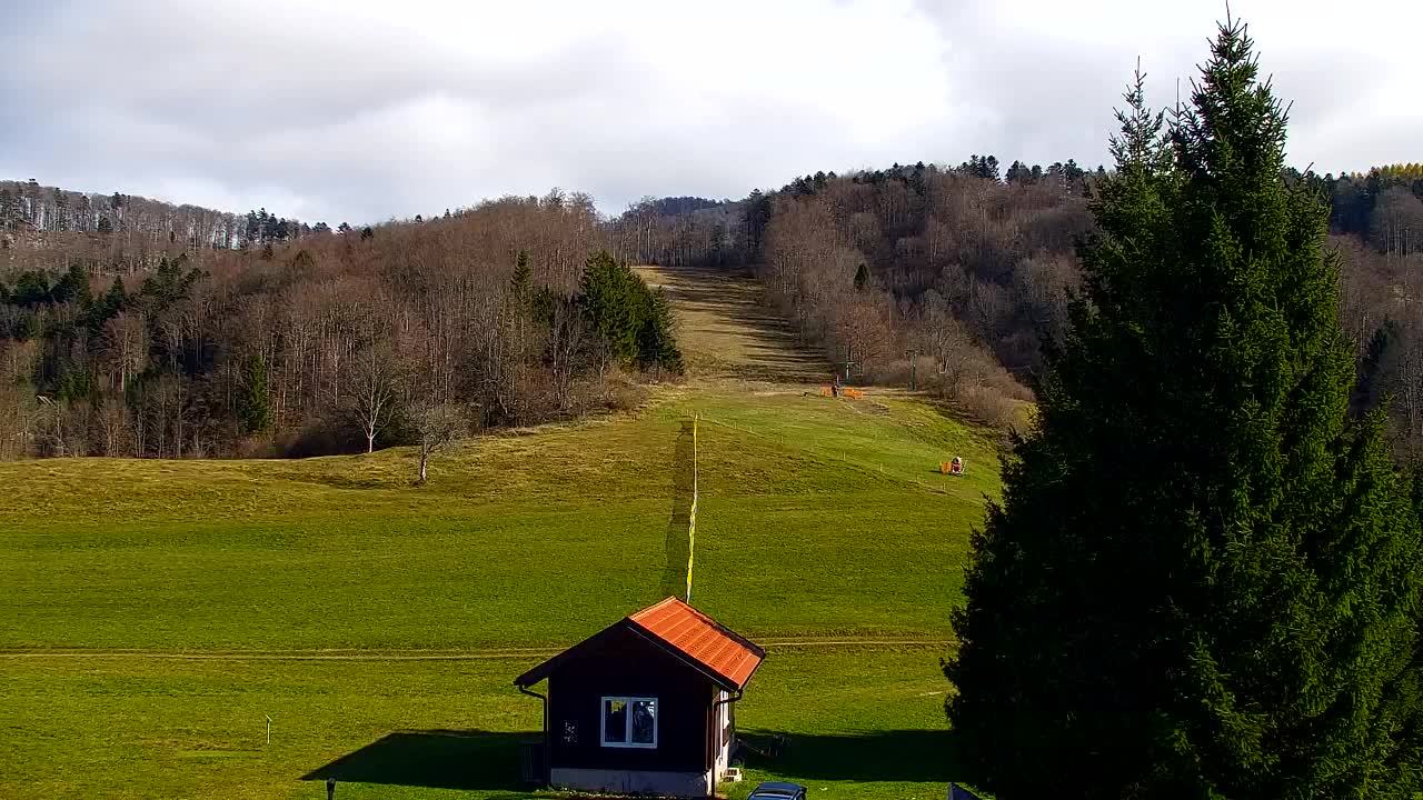 Webcam Lokve – The beauty of the Trnovo forest
